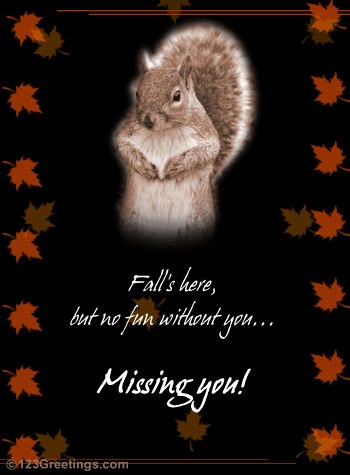 Missing You This Fall...