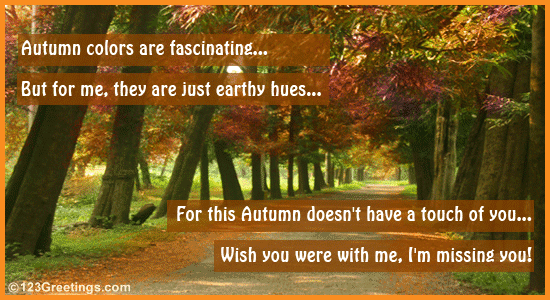 Missing Your Autumn Love...