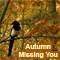 Thinking Of You This Autumn...