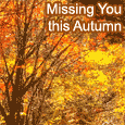 Missing You So Much This Autumn...