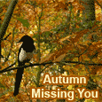 Thinking Of You This Autumn...