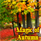 The Magic Of Autumn...
