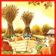 Harvest Of Happiness!