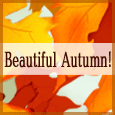 Joys Of Autumn...