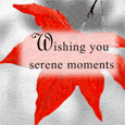 Wishing You Serene Moment...