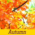 Autumn Filled With Joy...