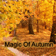 Enjoy The Magic Of Autumn!