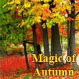 The Magic Of Autumn...