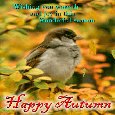 A Wonderful Autumn Card.