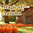 Enjoy The Wonderful Autumn Season!