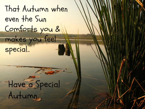 A Special Autumn..