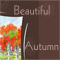 A Beautiful Autumn Wish...