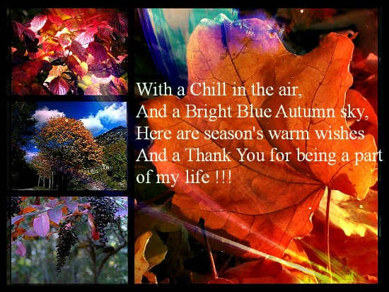 Thank You For A Wonderful Autumn..
