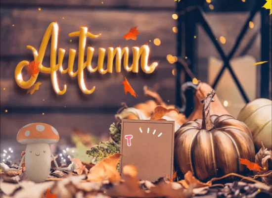 Thank You, Autumn.
