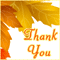 Autumn: Thank You