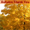 Autumn: Thank You