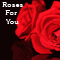 Red Roses For You...