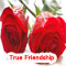 True Friendship Is Like A Rose.