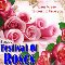 A Festival Of Roses Card For You.