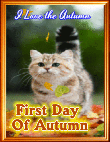 First Day Of Autumn Card.