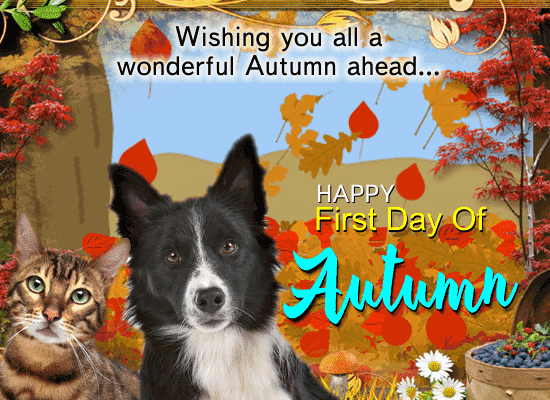 A Cute And Nice Autumn Card For You.