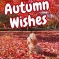Cute Puppy Happy Autumn Wishes.