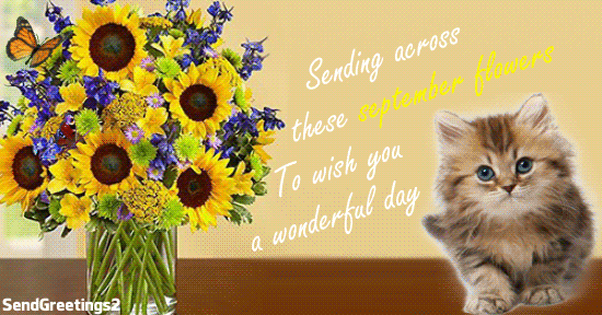 Send September Flowers Card!