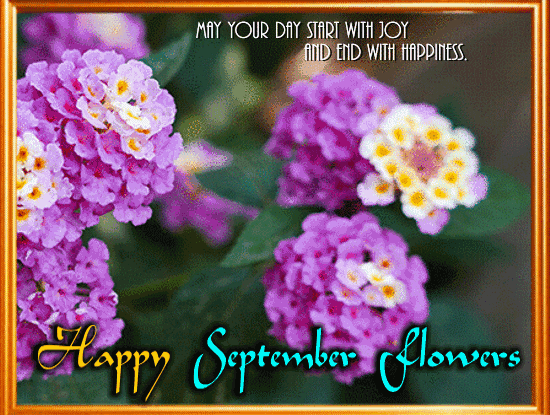 A Happy September Flowers Month.