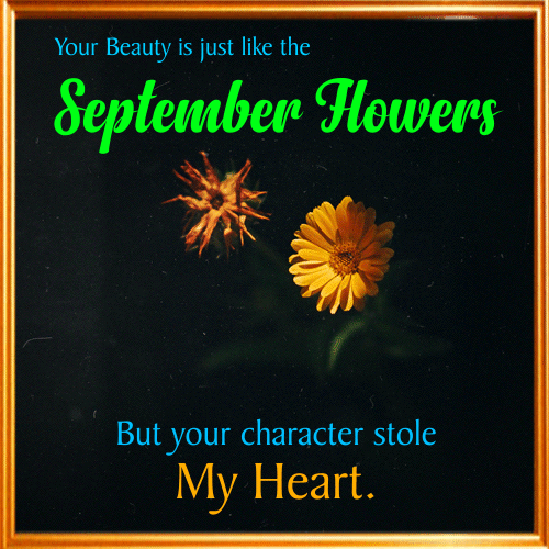 A September Flowers Ecard For You.