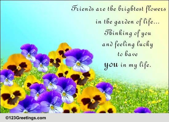 Beautiful Friendship... Free September Flowers eCards, Greeting Cards ...