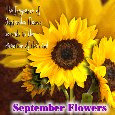 My September Flowers Ecard.