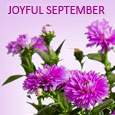 Joy Is Like A Flower...