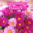 Pleasant September Month!