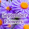 Beautiful Blooms Of September!