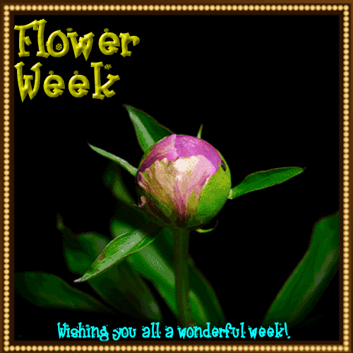 My Flower Week Ecard For You.