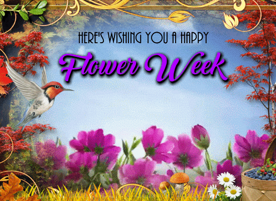 A Happy Flower Week Card For You.