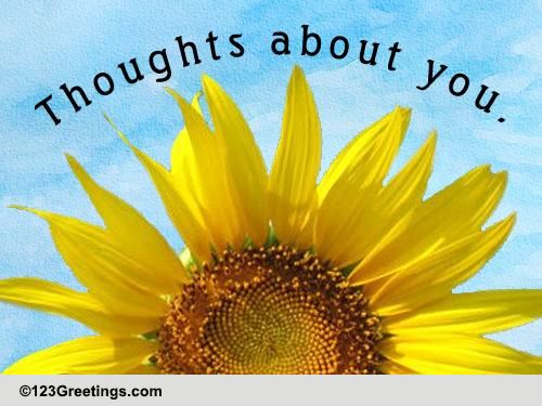 Thinking With Flowers...