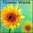 Flower For Friend...