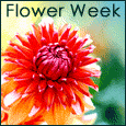 Send Flower Week Greetings!