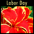 Floral Labor Day Wishes.