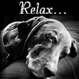 Relax &#x26; Enjoy On Labor Day.