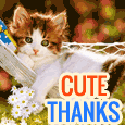 Cute Kitty Thanks On Labor Day!