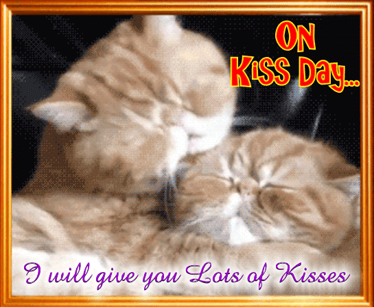 Cat Kisser!