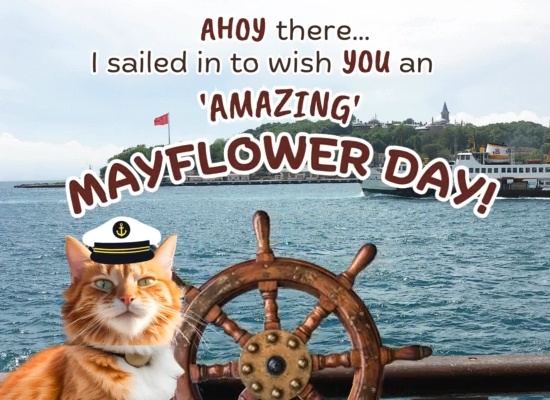 Send An Amazing Mayflower Day Wish