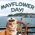 Ahoy Amazing Mayflower Day Wish