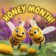 Bee-Utiful Honey Month