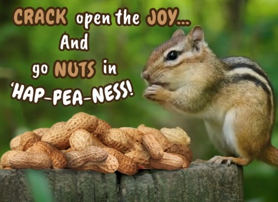 Crack Open The Joy.