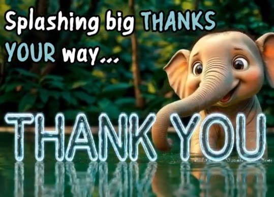 Send A Big Splash Of Thank You !