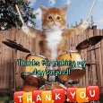 A Cute Thank You From Kitty.