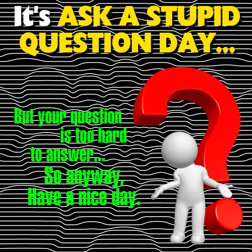 A Nice Ask A Stupid Question Day Card